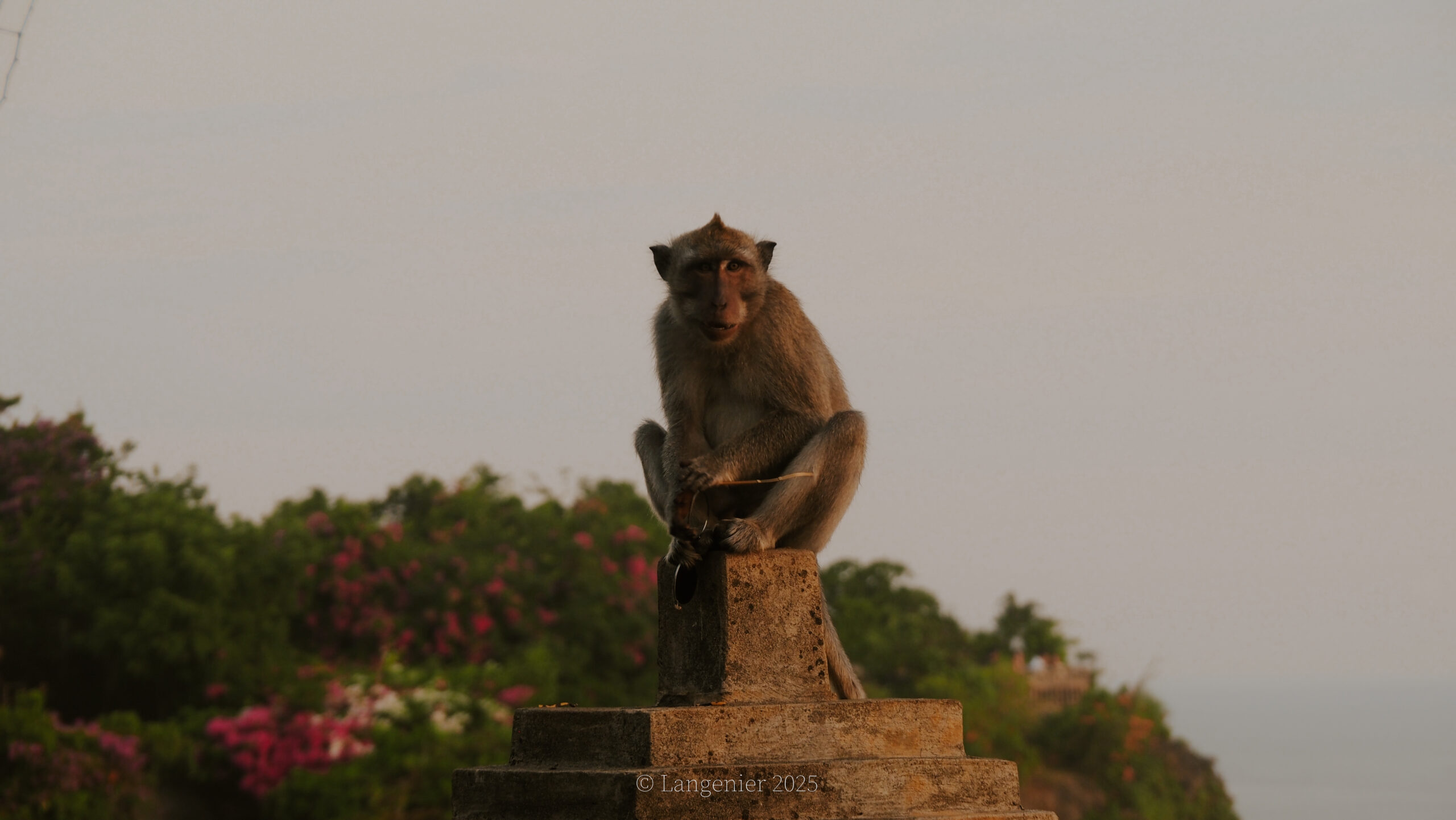 HOW TO TRAVEL RESPONSIBLY IN BALI : 7 GUIDELINES