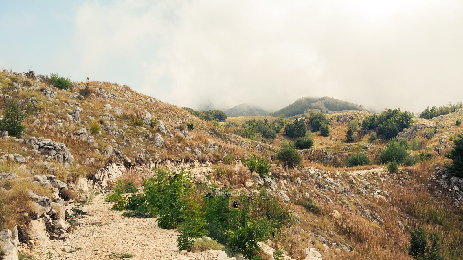 Rocky hiking trail through Lovćen National Park with mist-covered peaks, karst landscape near Kotor Bay, Montenegro