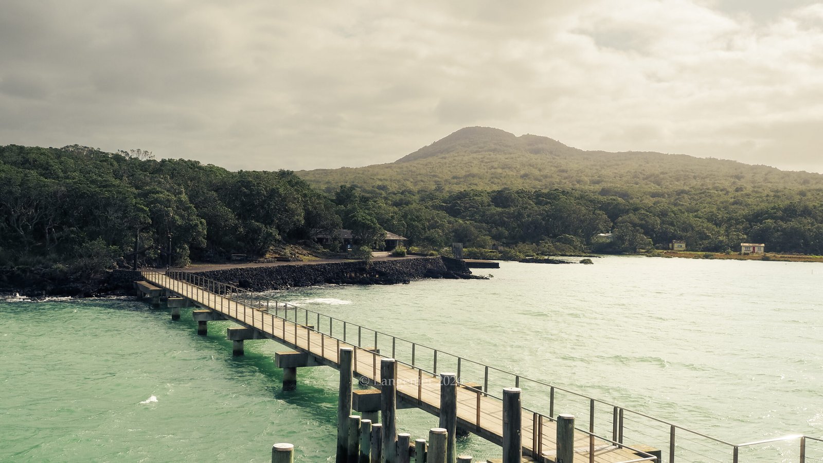 Wooden wharf leading to the shore of Rangitoto Island, Auckland, with the volcanic summit rising above the bush-covered coastline