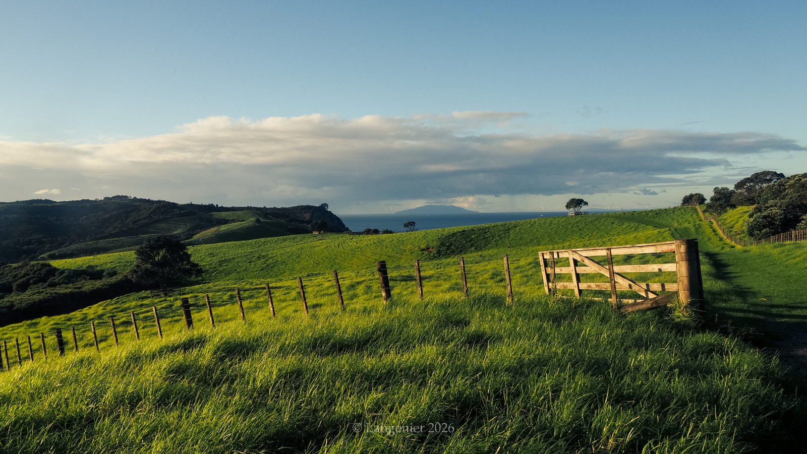 Rolling green farmland at Shakespear Regional Park, Auckland, with a wooden farm gate, wire fencing, and views out to the Hauraki Gulf and Rangitoto Island.