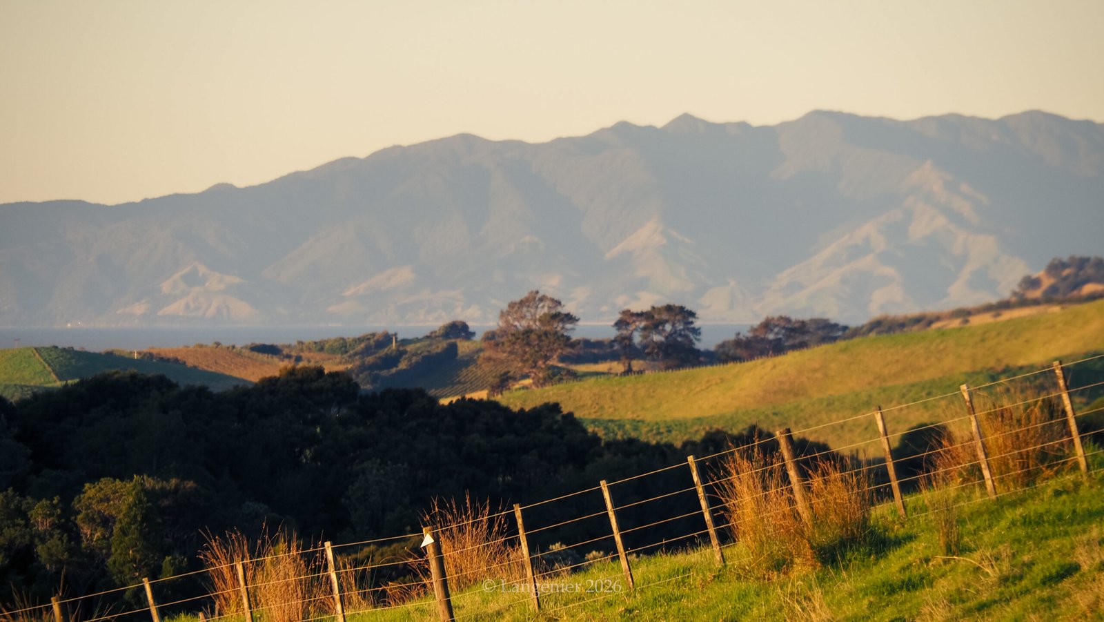 Golden-hour view over Waiheke Island's vineyards and rolling hills, with a wire fence in the foreground and hazy mountains of Coromandel peninsula across the water.